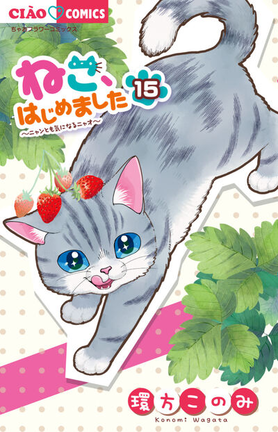 ねこ、はじめました 15