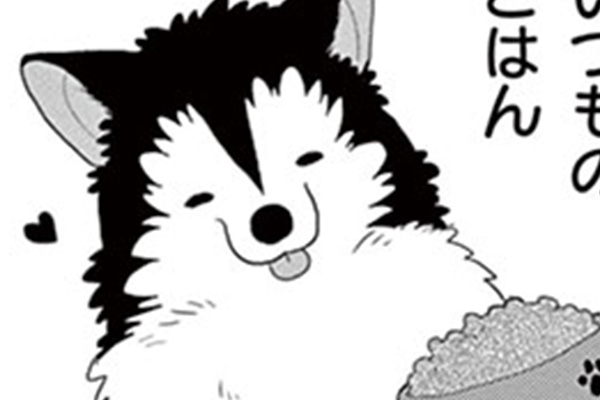 オオカミ少年♡こひつじ少女 / 環方このみ / スペシャル4コマ ハス