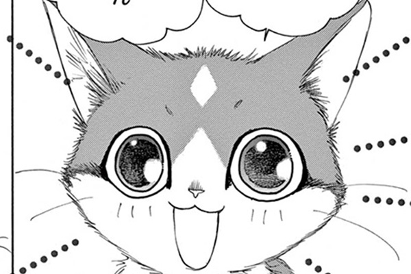 金目銀目ねこ館 / 竜山さゆり / 第1話