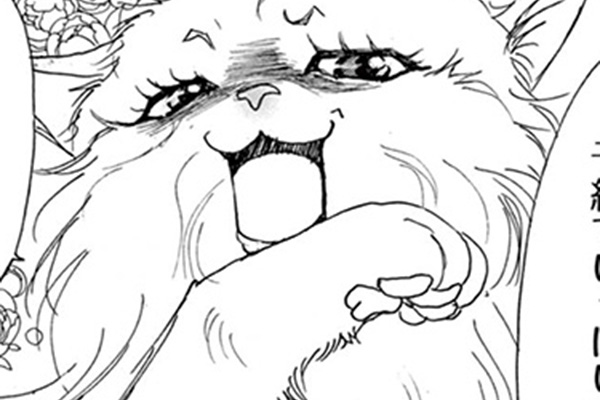 金目銀目ねこ館 / 竜山さゆり / 第1話