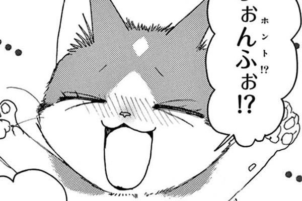 金目銀目ねこ館 / 竜山さゆり / 第1話