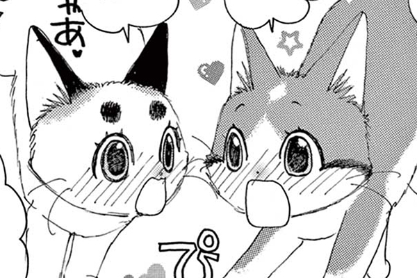 金目銀目ねこ館 / 竜山さゆり / 第1話