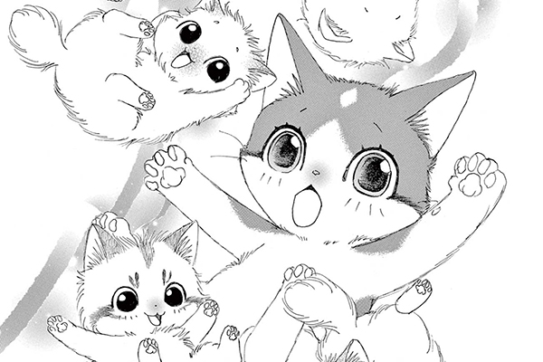 金目銀目ねこ館 / 竜山さゆり / 第1話