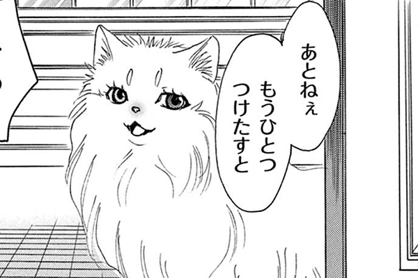 金目銀目ねこ館 / 竜山さゆり / 第1話