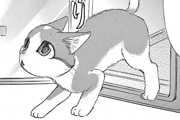 金目銀目ねこ館 / 竜山さゆり / 第1話