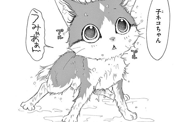 金目銀目ねこ館 / 竜山さゆり / 第1話