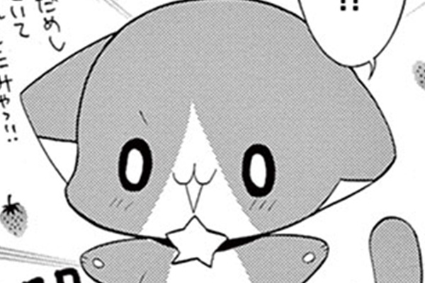 きらりん☆レボリューション / 中原杏 / 番外編 なーさん＆なーやんの