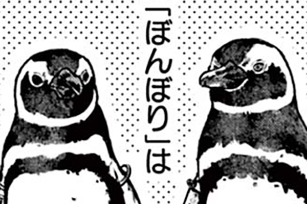 ペンギンのこと好き？～きみの羽毛さんになりたい～ / 環方このみ,監修
