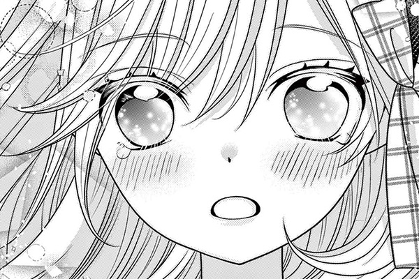 直筆サイン入りキャンバスアート 小鳥遊家の妹は花嫁になりたいっ！！ 生写真 直筆サイン入りキャンバスアート 小鳥遊家の妹は花嫁になりたいっ！！ 生