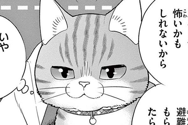 じゃれねこ『2月☆50 丸ごと苺♡』 じゃれねこ『2月☆50 丸ごと苺♡』