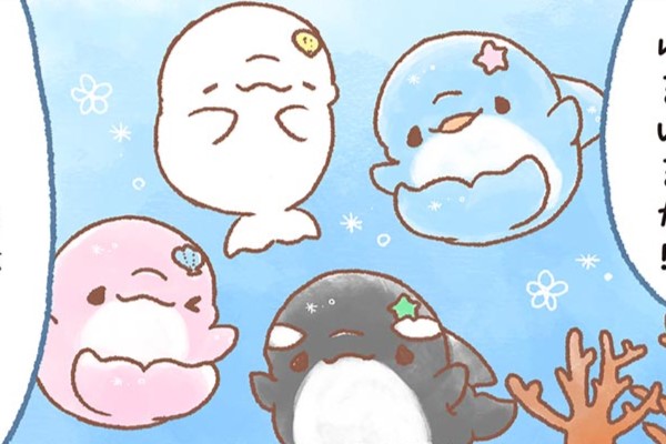 ゆるいるかぷらす！ / みいるか / 第1話 ～海のかくれんぼ～かくれんぼ