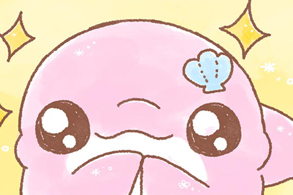 ゆるいるかぷらす！ / みいるか / 2ndシーズン 第2話 ～海の