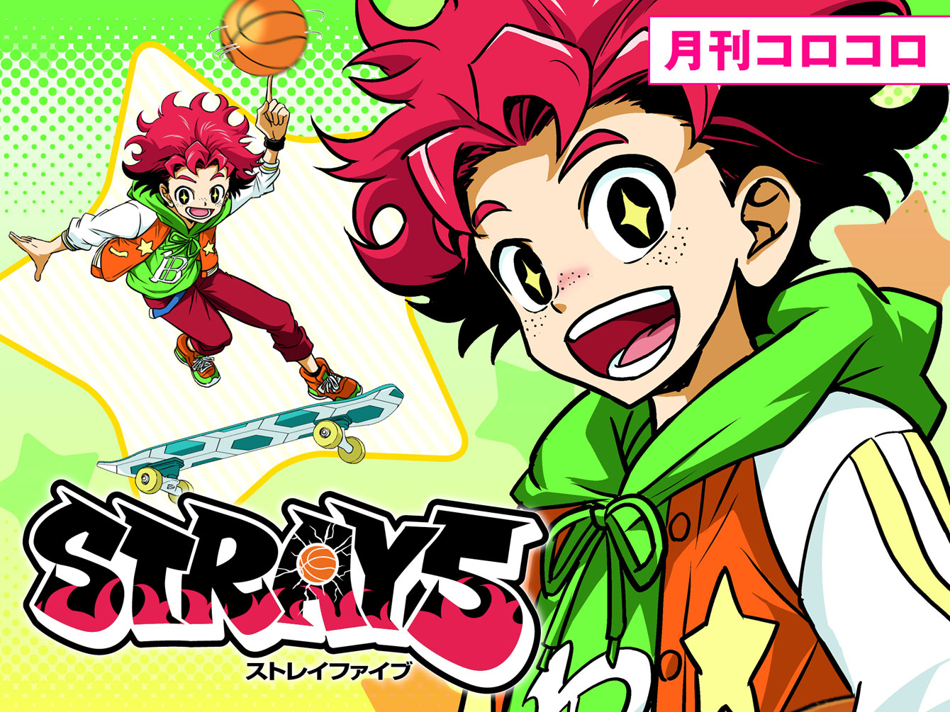 STRAY 5