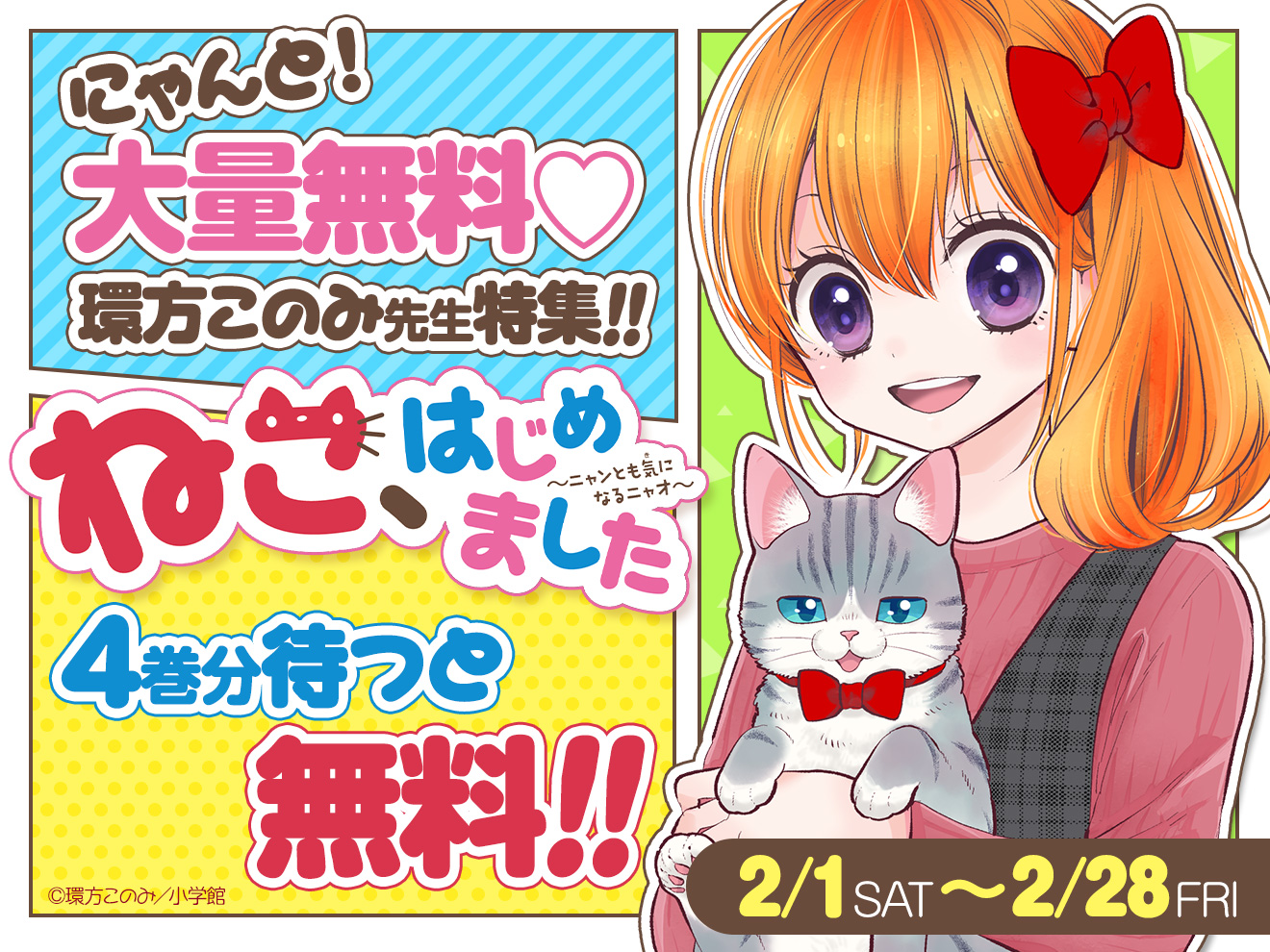 猫bug様専用ページ