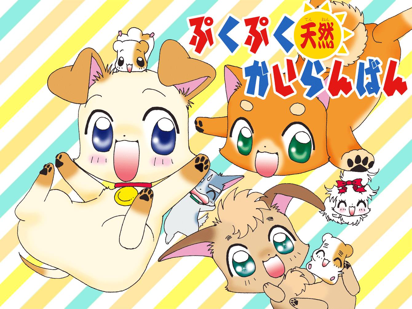 ぷくぷく天然かいらんばん