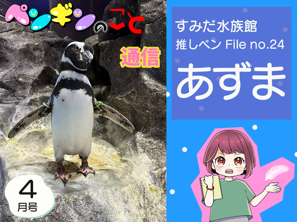 ペンギンのこと通信【4月号】すみだ水族館推しペンFile no.24：あずま