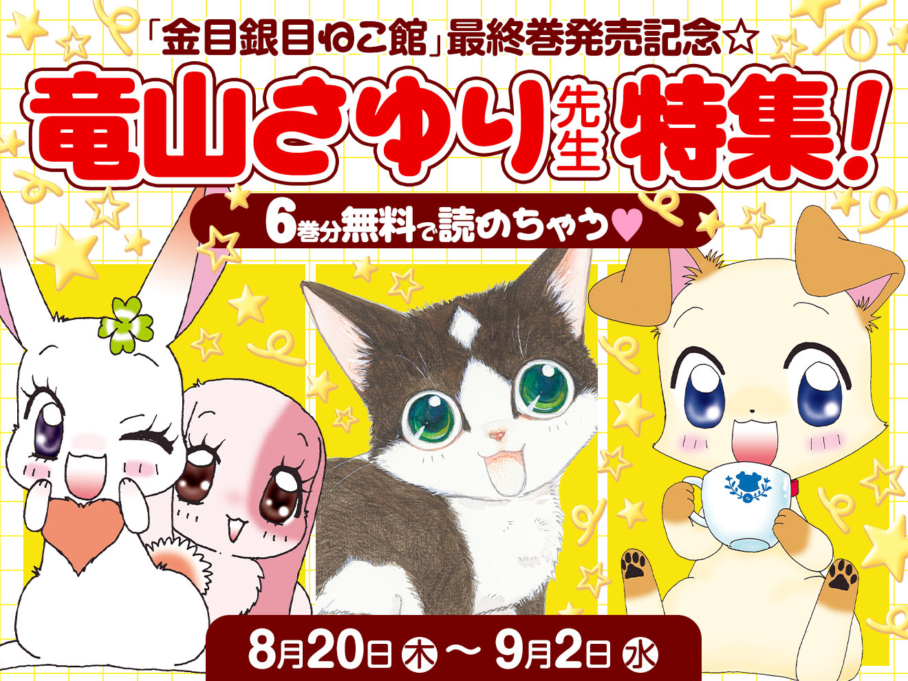 竜山さゆり先生特集